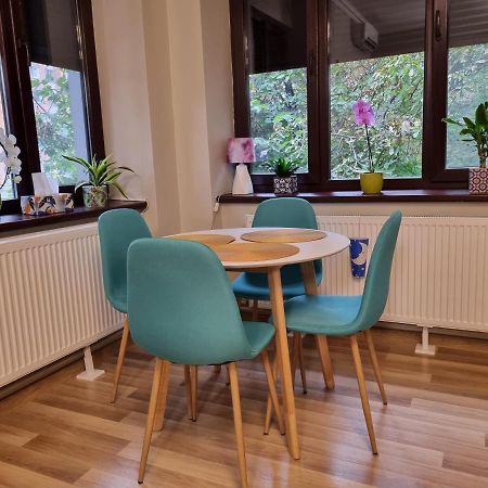 City Inn Premium Apartment Тимишоара Екстериор снимка