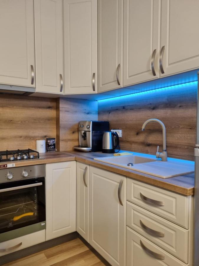 City Inn Premium Apartment Тимишоара Екстериор снимка