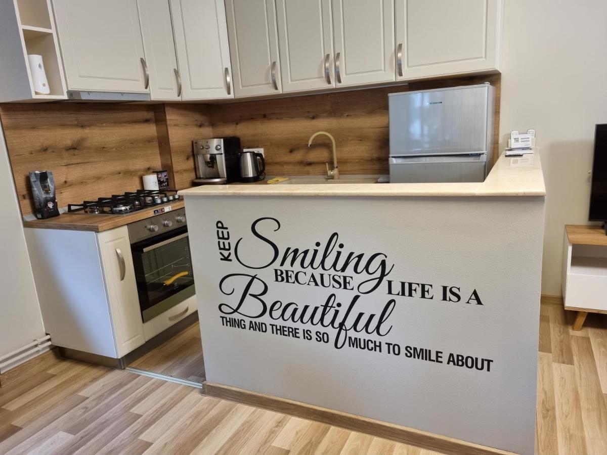 City Inn Premium Apartment Тимишоара Екстериор снимка