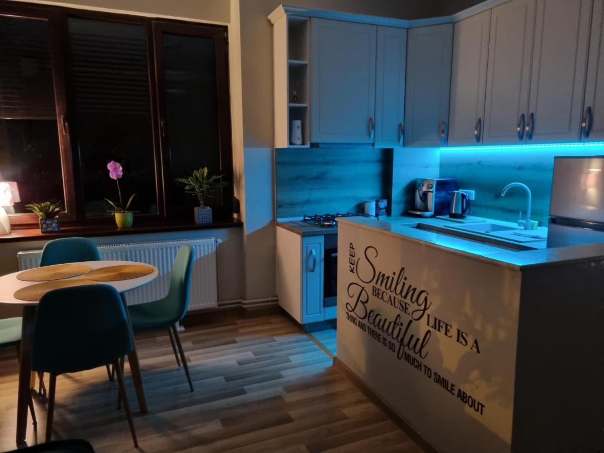 City Inn Premium Apartment Тимишоара Екстериор снимка